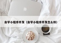 自学小程序开发（自学小程序开发怎么样）